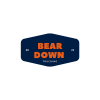 Bear Down Trucking Truck Driving Jobs in Bethlehem, PA