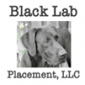 Black Lab Placements jobs in Holy Hill, SOUTH CAROLINA now hiring Local CDL Drivers